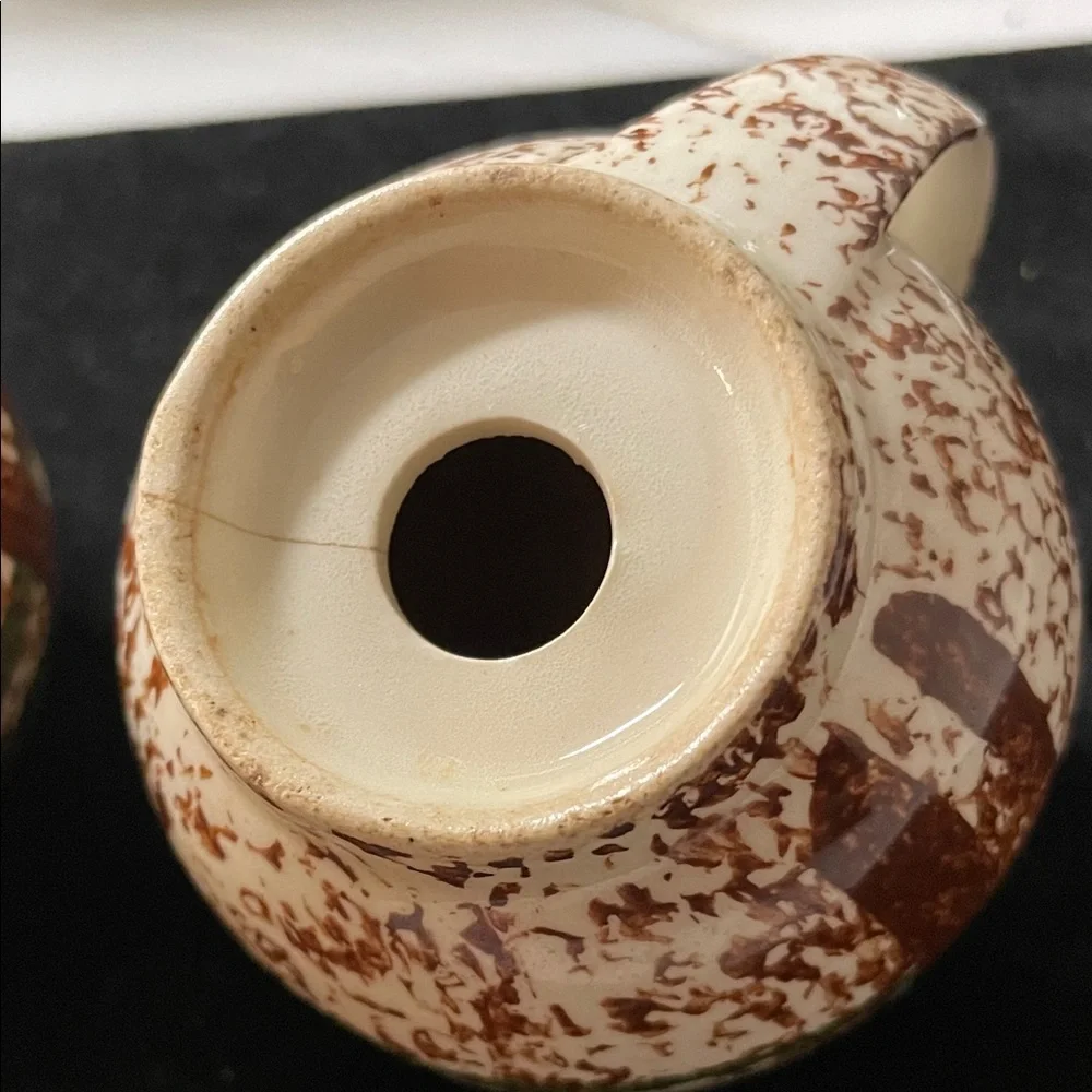 Speckled Ceramic Salt and Pepper Shakers with Green Band